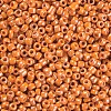 8/0 Glass Seed Beads SEED-US0003-3mm-130-2