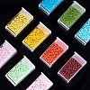 Glass Seed Beads SEED-PH0012-20-6