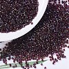 MIYUKI Delica Beads SEED-MY11-DB0296-1