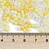 Glass Seed Beads SEED-K010-03A-4