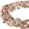 CHGCRAFT 5 Strands Natural Freshwater Shell Beads Strands SHEL-CA0001-09-1