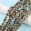 Natural Dalmatian Jasper Beads Strands G-G0003-B29-2