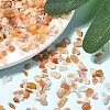 Natural Red Aventurine Chip Beads X-G-O103-01-4