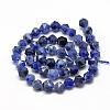 Natural Sodalite Beads Strands G-R448-6mm-09-2