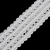 Transparent Glass Beads Strands X-EGLA-A034-T10mm-MD19-2