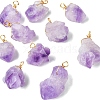 10Pcs Natural Amethyst Pendants PALLOY-CJ00158-8