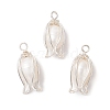 Natural Pearl Pendants PALLOY-TA00188-1