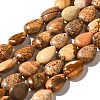 Natural Picture Jasper Beads Strands G-I377-A17-2