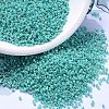 MIYUKI Delica Beads X-SEED-J020-DB0166-1