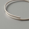 Sterling Silver Rectangle Flat Wire STER-WH0012-02S-2