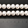 Electroplated Shell Pearl Beads Strands BSHE-C009-03B-5