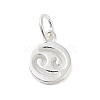 925 Sterling Silver Constellations Charms STER-M118-01J-1