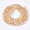 Electroplate Glass Beads Strands LS-EGLA-T013-05J-2