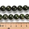 Natural Diopside Beads Strands G-R006-A01-01-5