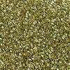 MIYUKI Delica Beads SEED-MY11-DB0124-3