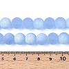 Frosted Transparent Glass Beads Strands GLAA-T032-T10mm-MBB04-4