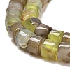 Natural Agate Beads Strands G-B079-F01-01-4