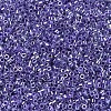 MIYUKI Delica Beads SEED-MY11-DB0250-3