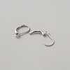 Brass Hoop Earring Findings DIY-WH0888-510P-2