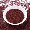 MIYUKI Delica Beads X-SEED-J020-DB2120-2