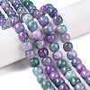 Dyed Natural White Jade Beads Strands G-T138-D18-1