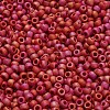 TOHO 6/0 Round Beads SEED-TR06-0768-4