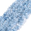 Dyed Natural Aquamarine Beads Strands G-F703-12-1
