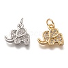 Brass Micro Pave Clear Cubic Zirconia Charms ZIRC-C020-35-1