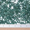 MIYUKI Round Rocailles Beads X-SEED-G007-RR0338-3