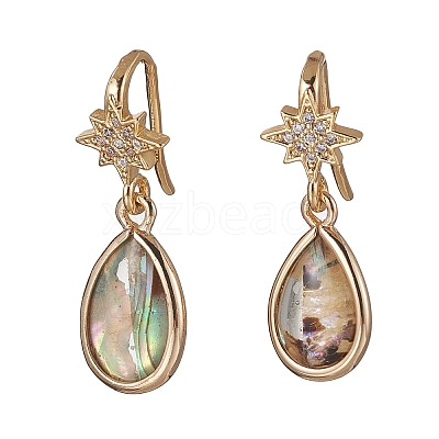 Brass Micro Pave Clear Cubic Zirconia Dangle Earrings EJEW-JE06947-1