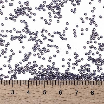 MIYUKI Round Rocailles Beads SEED-X0056-RR2447-1