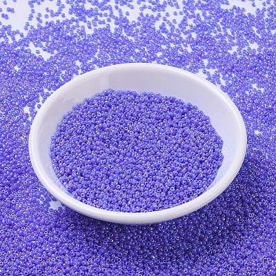 MIYUKI Round Rocailles Beads X-SEED-G007-RR0483-1