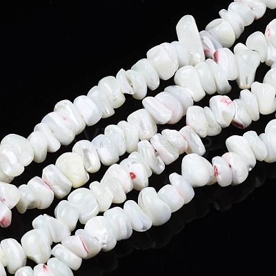 Natural Freshwater Shell Beads Strands SHEL-N003-23-1