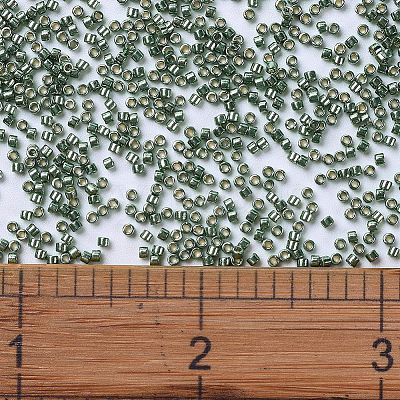 MIYUKI Delica Beads X-SEED-J020-DB1845-1