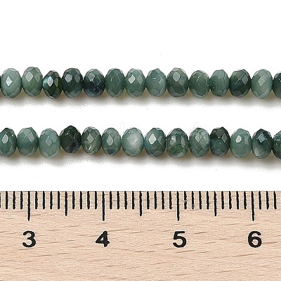 Natural Freshwater Shell Dyed Beads Strands SHEL-R100-13A-05-1