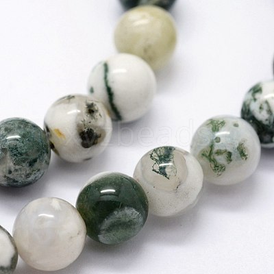 Natural Tree Agate Beads Strands X-G-I199-03-8mm-1