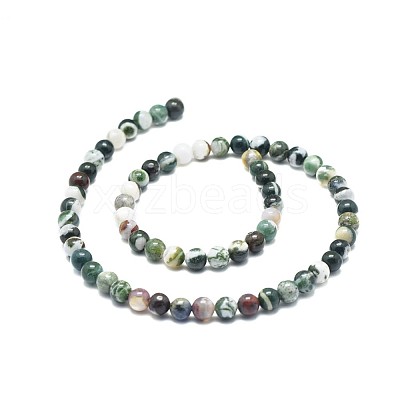 Natural Tree Agate Beads Strands G-F674-11-6mm-1