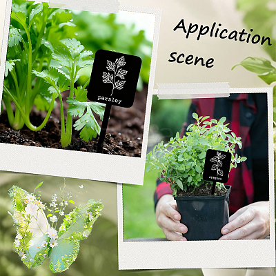 24Pcs Acrylic Plant Label DIY-SP0006-50-1