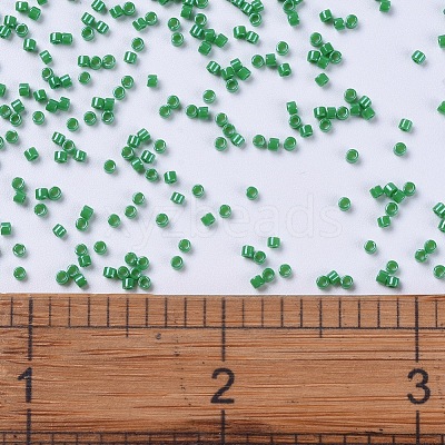 MIYUKI Delica Beads SEED-X0054-DB0655-1