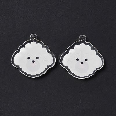 Transparent Acrylic Pendants TACR-G038-03B-1