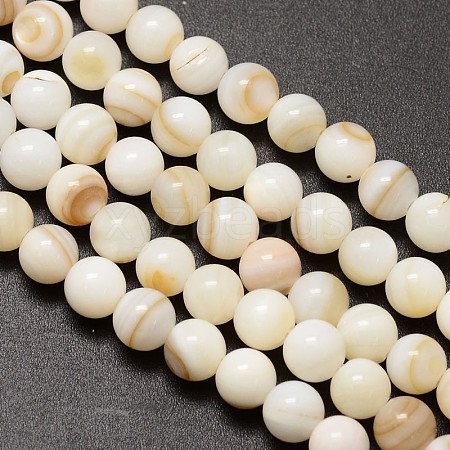 Natural Freshwater Shell Round Bead Strands X-SHEL-M013-01-1