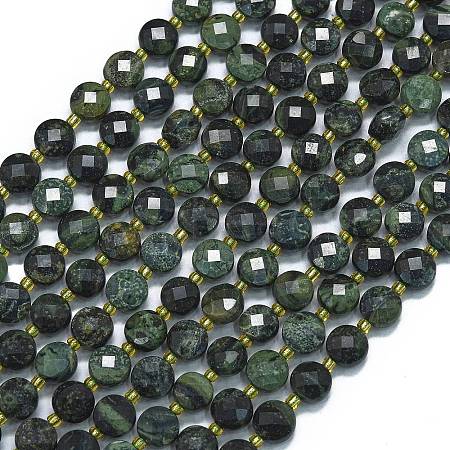 Natural Kambaba Jasper Beads Strands G-K389-B52-01-1