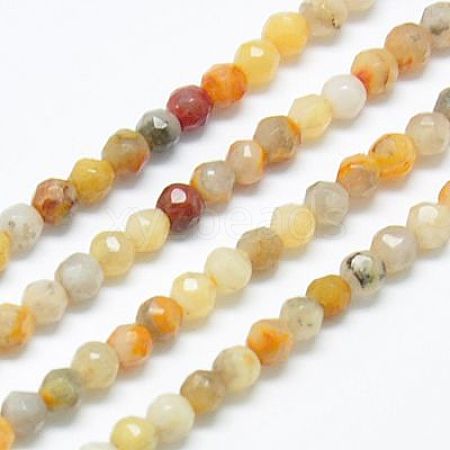 Natural Crazy Lace Agate Beads Strands G-J002-03J-1