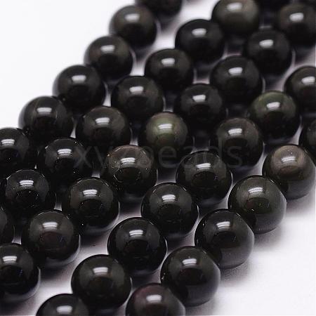 Natural Obsidian Beads Strands G-D838-14mm-04-1