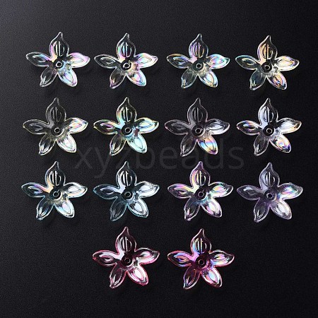 Transparent Acrylic Beads MACR-S373-102-C-1