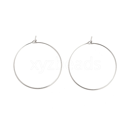 Brass Hoop Earring Findings LS-KK-R112-038E-1