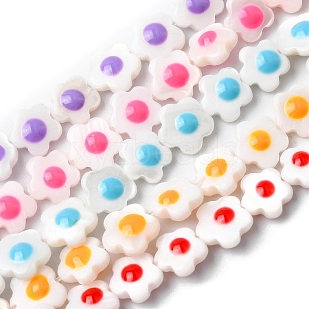 Natural Freshwater Shell Enamel Beads Strands SHEL-K006-01-1