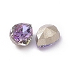 K9 Glass Rhinestone Cabochons RGLA-A025-02A-001VL-4