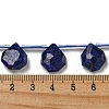 Natural Lapis Lazuli Beads Strands G-P544-C10-01-4