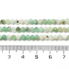 Natural Chalcedony Beads Strands G-G189-D21-04-5